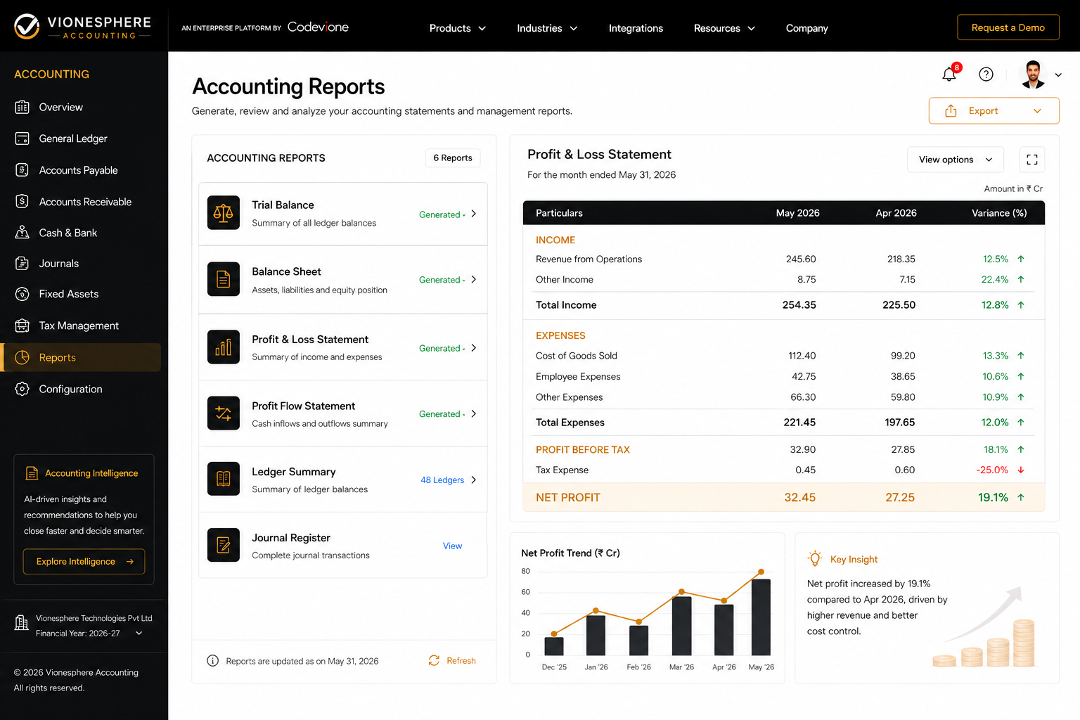 Vioneshpere Accounting reporting workspace