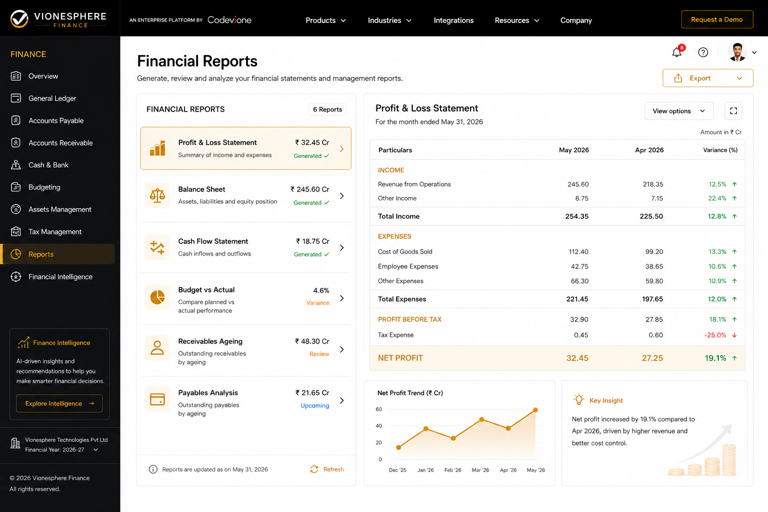 Vioneshpere Finance reporting workspace